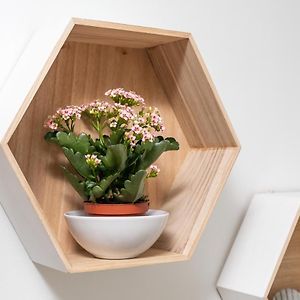 Apartamento de 3 Dormitorios
